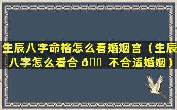 生辰八字命格怎么看婚姻宫（生辰八字怎么看合 🐠 不合适婚姻）